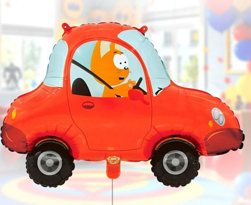 Шар Котэ в машине